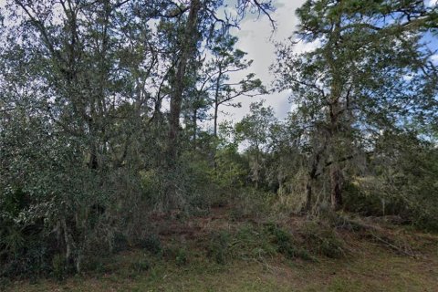 Land in Poinciana, Florida № 1576762 - photo 1