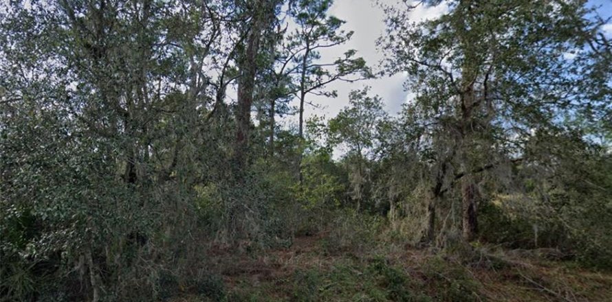 Land in Poinciana, Florida № 1576762