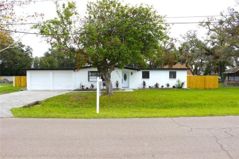 Villa ou maison à Riverview, Floride 3 chambres, 119.47 m2 № 2100453