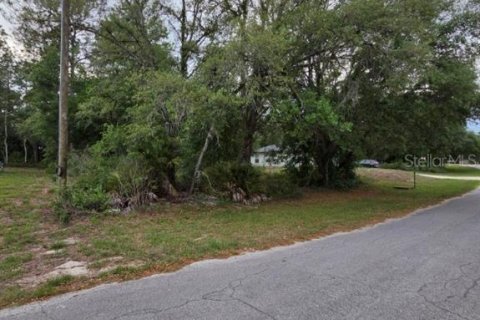Land in Ocala, Florida № 2165856 - photo 4