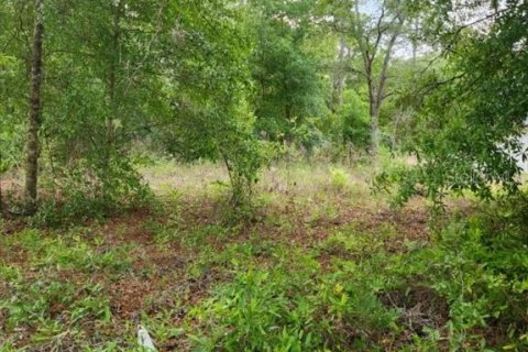 Land in Ocala, Florida № 2165856 - photo 2