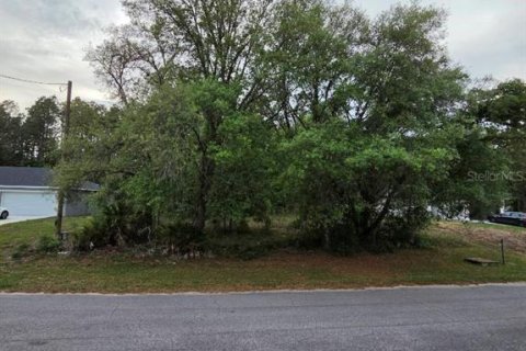 Land in Ocala, Florida № 2165856