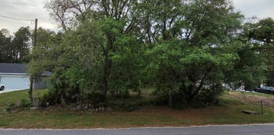 Land in Ocala, Florida № 2165856