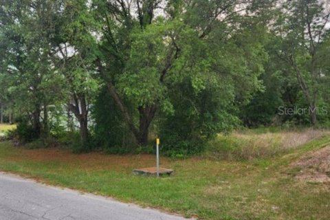 Land in Ocala, Florida № 2165856 - photo 5