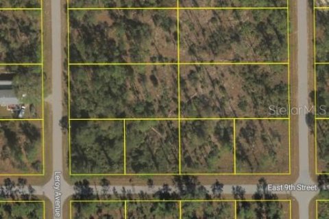 Land in Lehigh Acres, Florida № 2165908 - photo 3