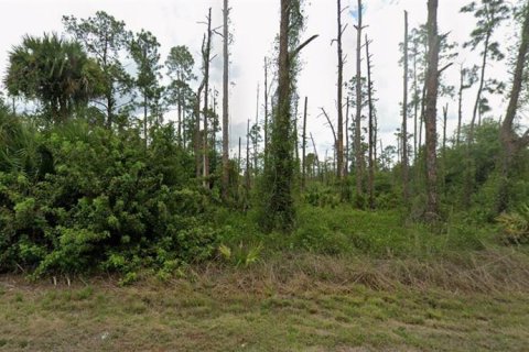 Land in Lehigh Acres, Florida № 2165908