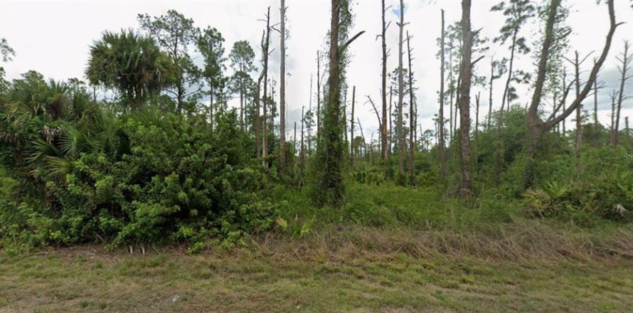 Land in Lehigh Acres, Florida № 2165908