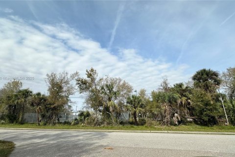 Terreno en Port Charlotte, Florida № 2034878