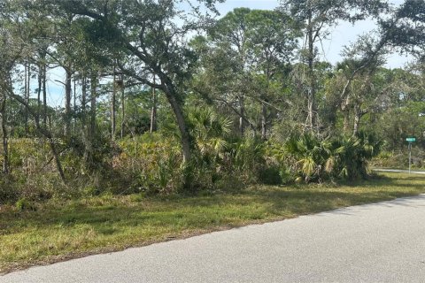 Land in Port Charlotte, Florida № 2034878 - photo 2