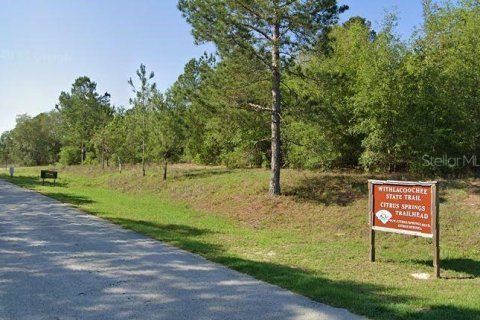 Land in Citrus Springs, Florida № 2163924 - photo 4