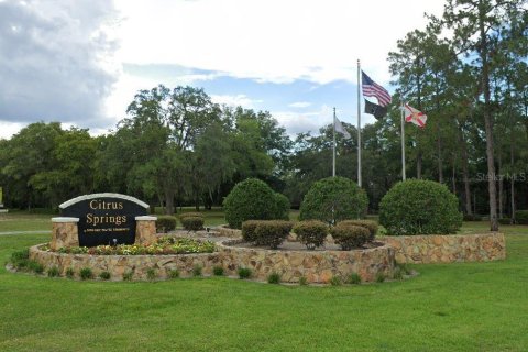 Land in Citrus Springs, Florida № 2163924 - photo 6