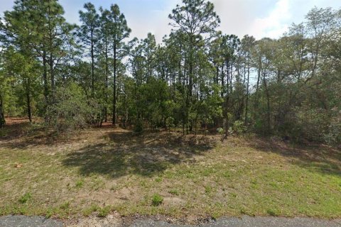 Land in Citrus Springs, Florida № 2163924