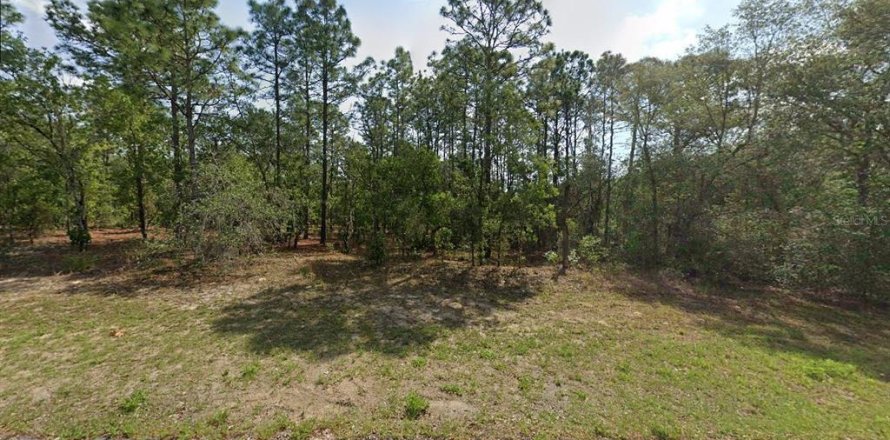 Land in Citrus Springs, Florida № 2163924