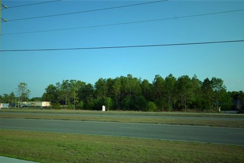 Land in Wesley Chapel, Florida № 1267364 - photo 4
