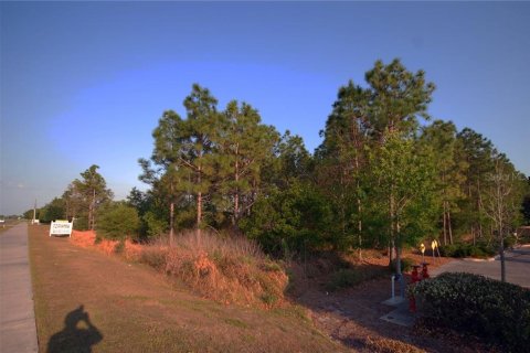 Land in Wesley Chapel, Florida № 1267364 - photo 1