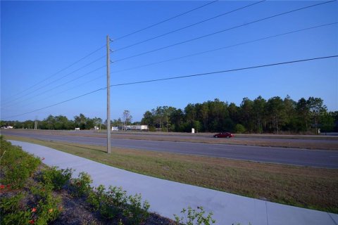 Land in Wesley Chapel, Florida № 1267364 - photo 2