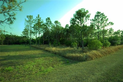 Land in Wesley Chapel, Florida № 1267364 - photo 10