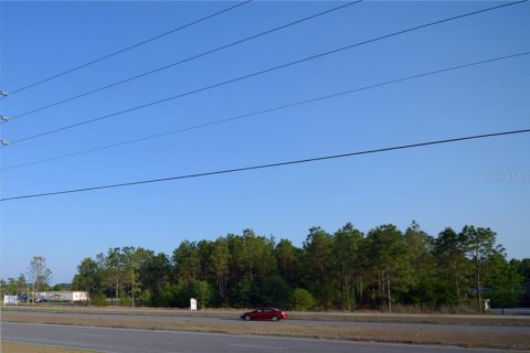 Land in Wesley Chapel, Florida № 1267364 - photo 5