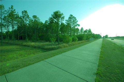 Land in Wesley Chapel, Florida № 1267364 - photo 6