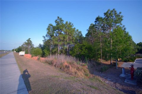 Land in Wesley Chapel, Florida № 1267364 - photo 7