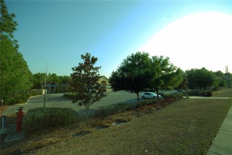Land in Wesley Chapel, Florida № 1267364 - photo 8