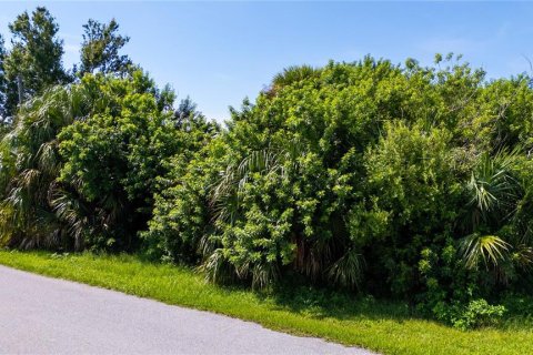 Terreno en venta en Port Charlotte, Florida № 1908601 - foto 2