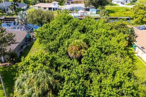 Terreno en venta en Port Charlotte, Florida № 1908601 - foto 3