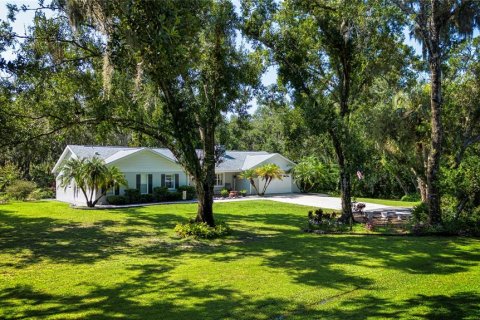 House in Wimauma, Florida 4 bedrooms, 183.76 sq.m. № 1879235 - photo 3