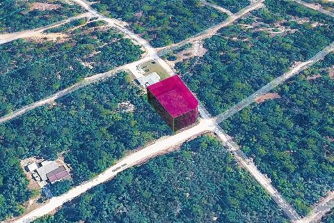 Land in Lake Placid, Florida № 2322281