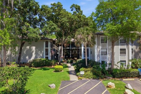 Condo à Palm Harbor, Floride, 2 chambres  № 2231696