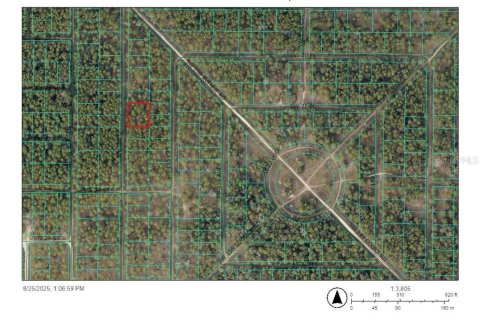 Купить земельный участок в Окала, Флорида № 2163723 - фото 2
