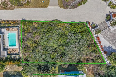 Land in Saint Augustine, Florida № 2127972 - photo 6