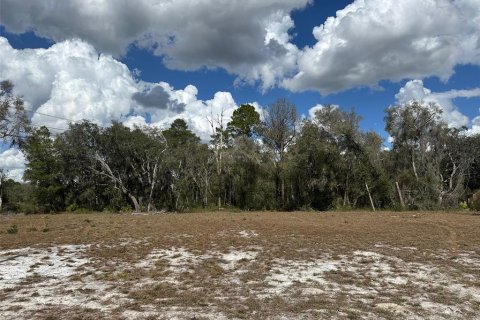 Land in Dunnellon, Florida № 2160583 - photo 2