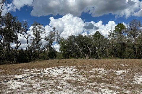 Land in Dunnellon, Florida № 2160583