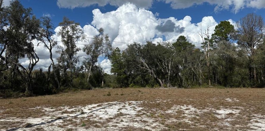 Land in Dunnellon, Florida № 2160583