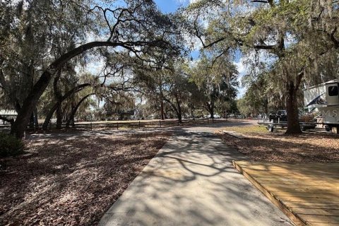 Land in Salt Springs, Florida № 2115991