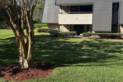 Condo in Palm Harbor, Florida, 2 bedrooms  № 1528919 - photo 1