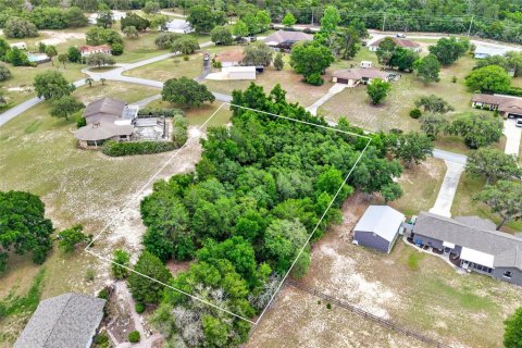 Land in Inverness, Florida № 2162472 - photo 8