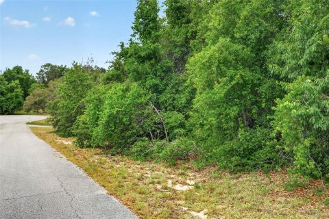 Land in Inverness, Florida № 2162472 - photo 2