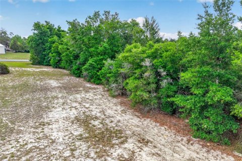Land in Inverness, Florida № 2162472 - photo 10