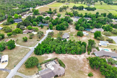 Land in Inverness, Florida № 2162472 - photo 12