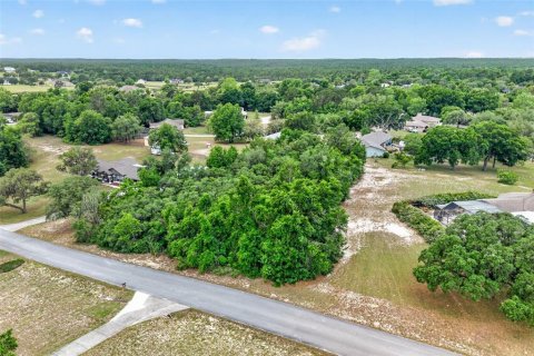 Land in Inverness, Florida № 2162472 - photo 6