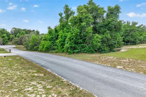 Land in Inverness, Florida № 2162472 - photo 9