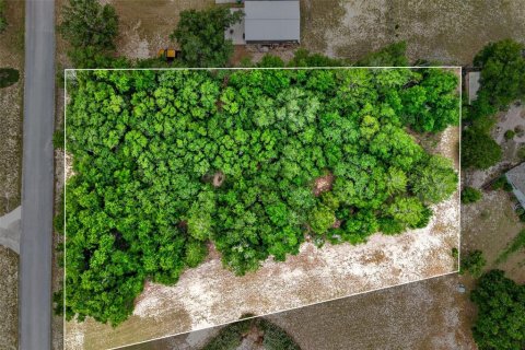 Land in Inverness, Florida № 2162472 - photo 14