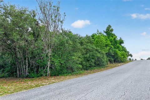 Land in Inverness, Florida № 2162472 - photo 5