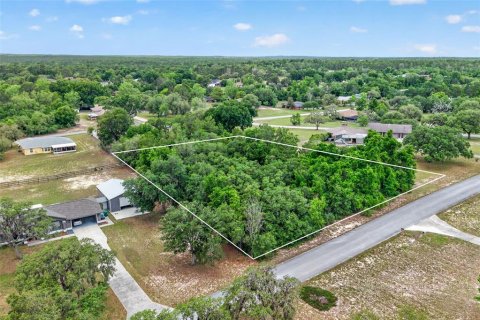 Land in Inverness, Florida № 2162472