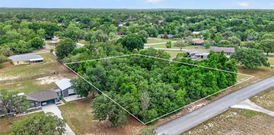 Land in Inverness, Florida № 2162472