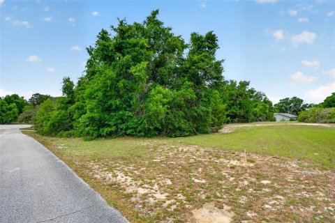 Land in Inverness, Florida № 2162472 - photo 4