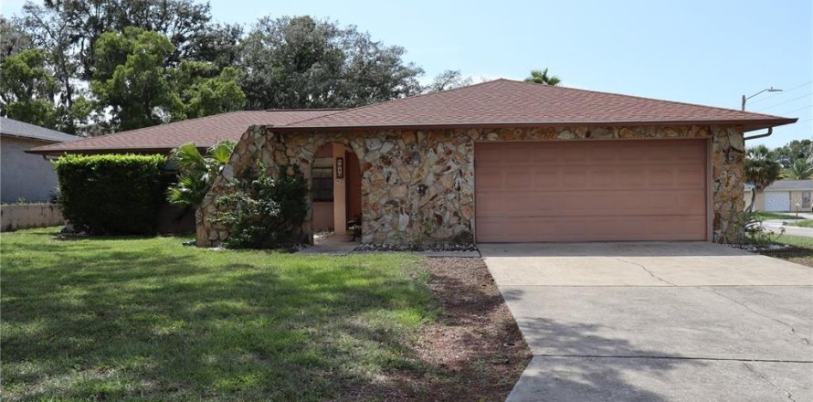 Villa ou maison à Port Richey, Floride 3 chambres, 157.93 m2 № 2304790