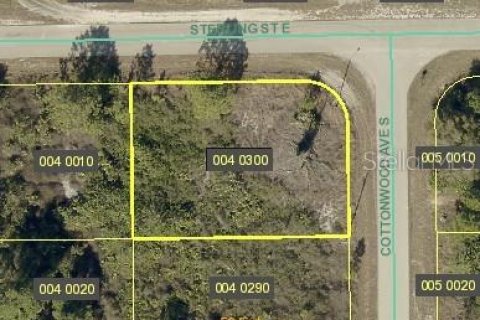 Land in Lehigh Acres, Florida № 2163894